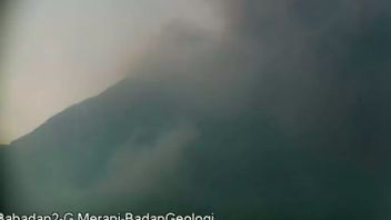 Berita Merapi Hari Ini: Gunung Merapi Meluncurkan Awan Panas Guguran Sejauh 3,5 km