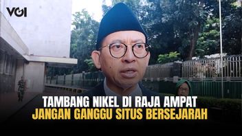 Fadli Zon Tidak Mau Tambang Nikel di Raja Ampat Ganggu Situs Bersejarah