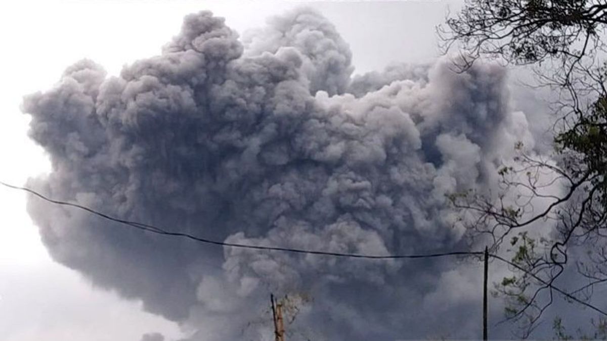 Ministry Of Health: Some Of Semeru Hot Cloud Victims Experience Burns