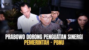 Presiden Prabowo Bertemu Ketum PBNU, Bicarakan Penguatan Sinergi dengan Pemerintah