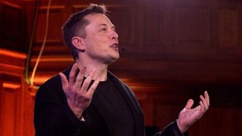 Elon Musk Denies Ever Intending To Replace Apple CEO Tim Cook