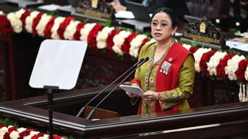 Puan Alludes To Manipulative Business In Front Of Prabowo, Starting From Illegal Mining To Online Gambling