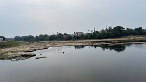 Dampak Kemarau Panjang, Sungai Cisadane Surut hingga 1 Meter