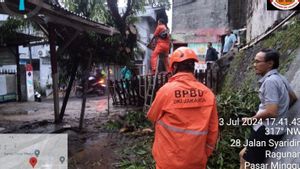 Hujan Deras Guyur Jakarta Sebabkan 12 Pohon Tumbang Hingga Timpa Bajaj