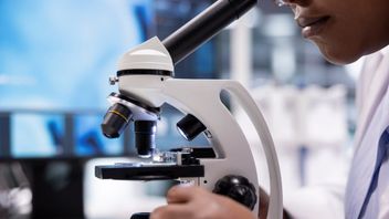 Understand the 7 Steps of How a Microscope Works and the Functions of its Parts