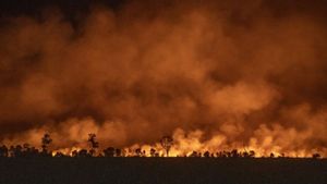 Hadapi Potensi El Nino, Pemprov Sumsel Tetapkan Siaga Karhutla hingga 30 November