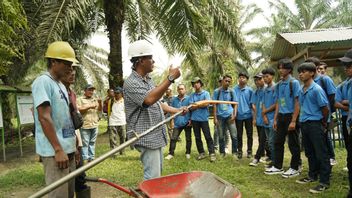 重新将Rejosari园区作为棕榈油培训中心，PTPN IV加强PMI候选人的能力