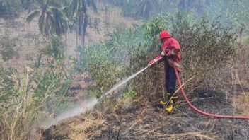 122名森林和陆地火灾 南楠榜发生10个月,最多的是卡利安达区