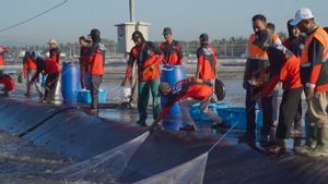 KKP: The Role Of Young People Potentially Grows Innovative Fisheries Cultivation