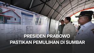 Mensesneg Prasetyo Hadi Jelaskan Fokus Presiden Prabowo di Sumbar, Pastikan Pemulihan Berjalan Baik