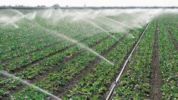 rénagement intelligent et capteurs d'humidité pour les agriculteurs dans les zones sèches