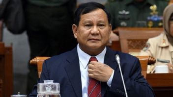 Prabowo Will Become A Presidential Candidate Again, Arief Poyuono: The Chance Of Winning Is Not Safe, Faced By A Young And Energetic Presidential Candidate