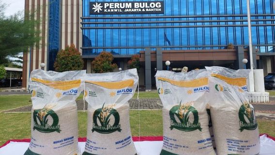 Bulog Pastikan Beras Bansos Berkualitas Premium, Bebas dari Kutu