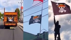 DPR Minta Pemerintah Tak Berlebihan Tanggapi Pengibaran Bendera One Piece: Lakukan Introspeksi