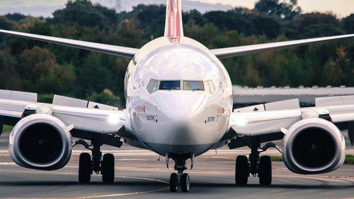 Pilot Who Ate 'Magic Mushrooms' Admits Turning Off Engine While Flying Plane With 84 Passengers