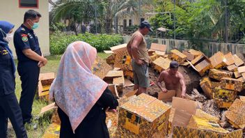 Sans permis, le KKP détruit 796 kg de peau d'aigle et de dauphin à Banyuwangi
