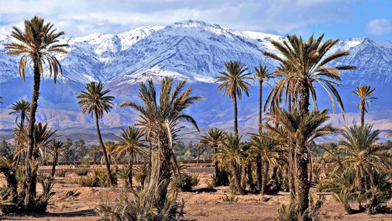 7 アフリカ大陸を通り抜ける山々の一連の驚くべき自然の美しさ