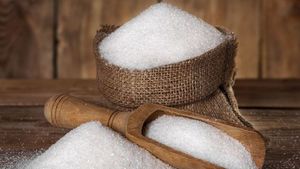 Stok Gula Numpuk, Petani Tebu Tagih Janji Pemerintah Beli Sesuai HPP