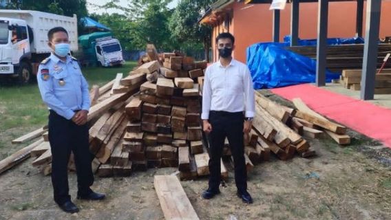 Jumlahnya Memang Cuma Lima Pelaku, Tapi Bisa Lakukan <i>Illegal Logging</i> 50 Kubik Kayu di Sultra