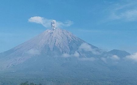 Gunung Semeru 5 Kali Erupsi dengan Tinggi Letusan Hingga 900 Meter