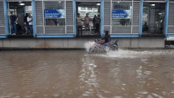 Jakarta Kembali Banjir, Sejumlah Rute Transjakarta Dialihkan hingga Setop Operasi