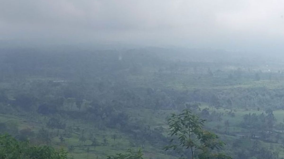 Mount Semeru Eruption Friday Afternoon Accompanied by Hot Cloud Swirls