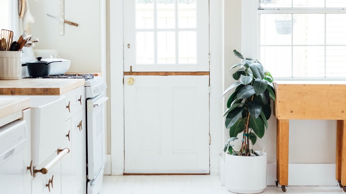 11 Jenis Tanaman Pembersih Udara dalam Ruangan yang Dapat Mempercantik Rumah Anda