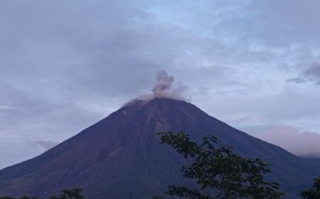 Gunung Semeru Erupsi, Muntahkan Abu Vulkanik Setinggi 700 Meter