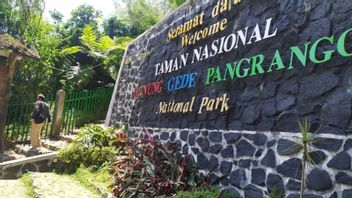 Allegedly Cold, Climber From Depok Found Dead On Mount Gede Pangrango