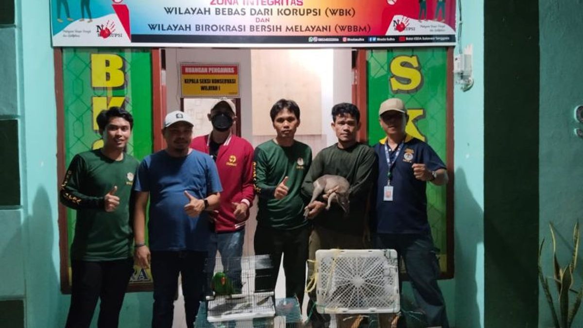 The Southeast Sulawesi BKSDA Failed The Smuggling Of Kangaroo And Cendrawasih Birds