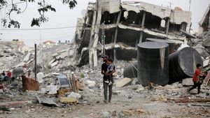Enggan Akui Palestina Tapi Italia Nilai Israel Tak Punya Akal Sehat Ambil Alih Gaza