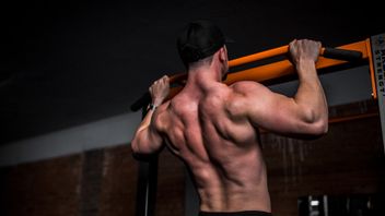 运动训练背部肌肉变得更强壮，无需去健身房