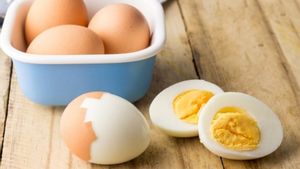 Rutin Konsumsi Telur? Ternyata Ini 5 Manfaatnya untuk Kesehatan