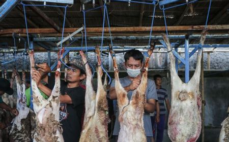 Wanita Hamil Jangan Berlebihan Konsumsi Daging Kambing, Ini Kata Pakar