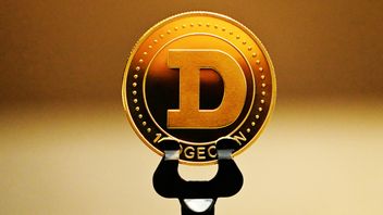 Dogecoin Will Launch Big Project, Get Ready!