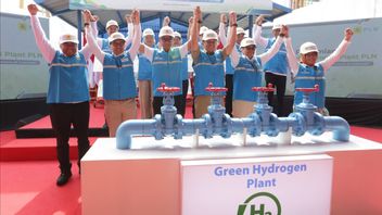 グリーン水素の製造に成功、PLNは多くの地域に充填所を準備