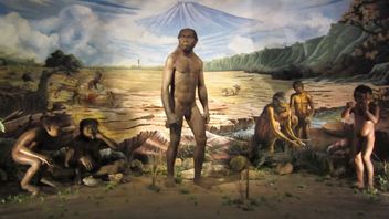 4 Teori Asal Usul Nenek Moyang Bangsa Indonesia dari Para Ahli