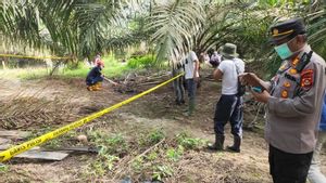 Human Skeleton Findings At Musi Banyuasin Palm Oil Plantation Evacuated To Bhayangkara Hospital Palembang