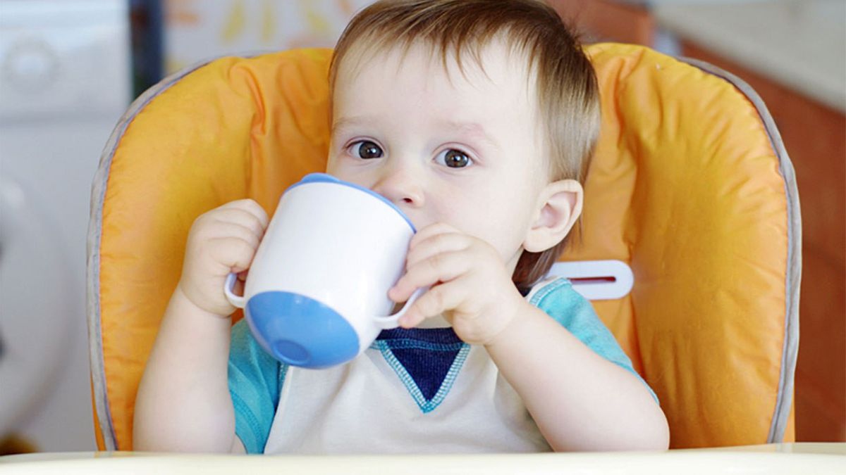 Sippy Cup For What Age? These Are Benefits And Tips For Children To Use