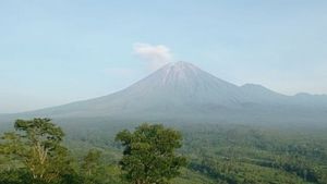 Status Siaga, Aktivitas Gunung Semeru Alami 21 Kali Gempa Letusan