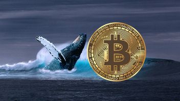 Lama Tertidur, Whale Bitcoin Mulai Bangkit Pindahkan Ribuan BTC ke Wallet Baru