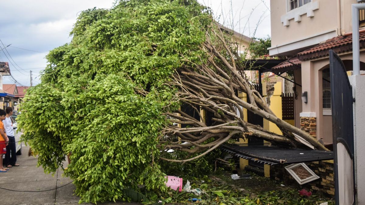 an Kalmaegi frappe les Philippines, 4 morts