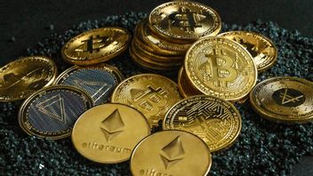 Market Crypto Sedang Bear? Begini Cara Hadapi dan Strategi Untuk Investor Pemula