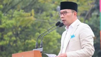 PKB Bersikukuh 在西爪哇省皮尔古布寻找Ridwan Kamil的竞争对手