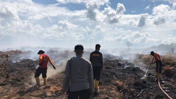 Tahun 2022 Sebanyak 268 Titik, BPBD Petakan Lagi Daerah Rawan Karhutla di Babel Imbas El Nino 