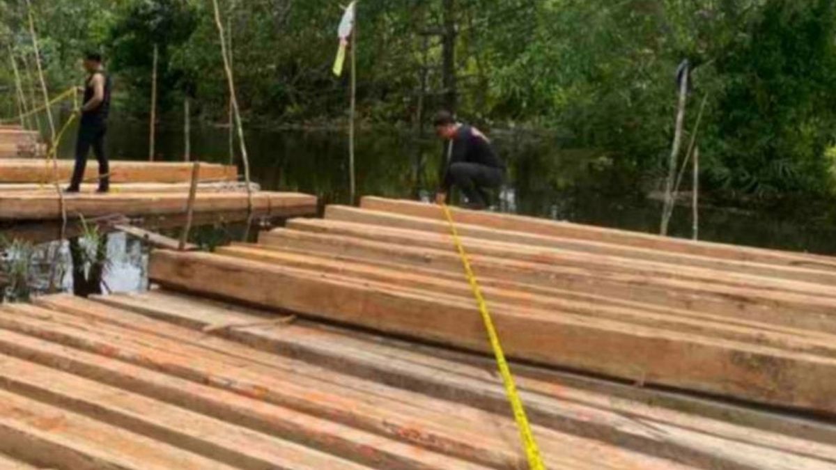 Meranti Riau Police Seize 8 Tons Of Wood From Illegal Logging