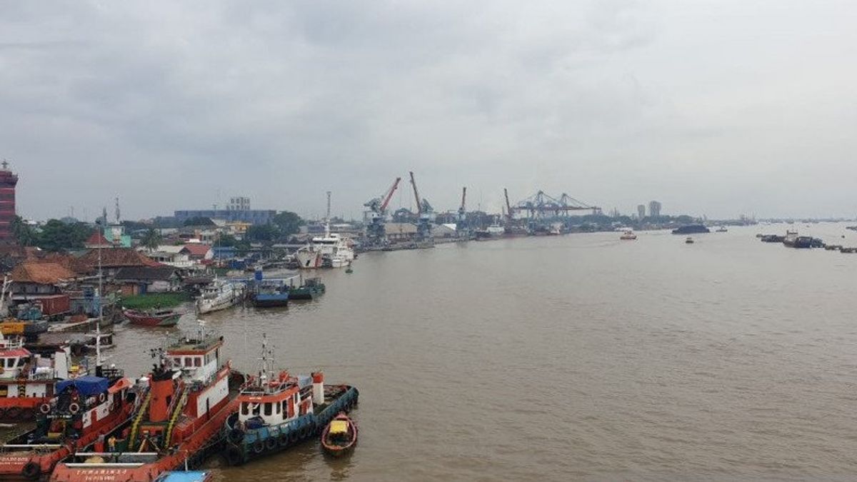 Palembang Gencarkan Kegiatan Penebaran Benih Ikan di Sungai Musi, Ajak Berbagai Elemen Masyarakat