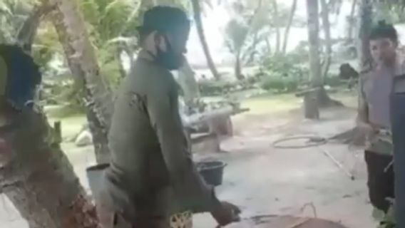 Animal Defender Résiste Au Stress De Faire Mourir Un Chien Canon à Aceh Singkil, Prétendument à Cause D’un Coup De Chaleur