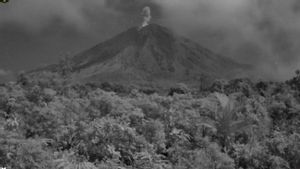 Gunung Semeru Erupsi dengan Abu Vulkanik Setinggi 1 Kilometer