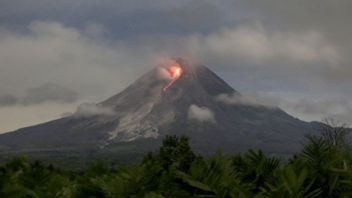 Dalam Sepekan, Gunung Merapi Luncurkan 106 Kali Guguran Lava